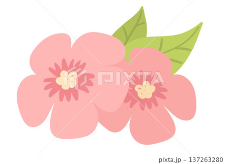 Vector illustration of pink flowers 137263280