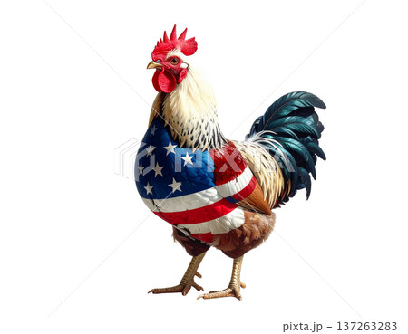 A rooster in the colors of the American flag 137263283