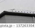 初雪 137263304