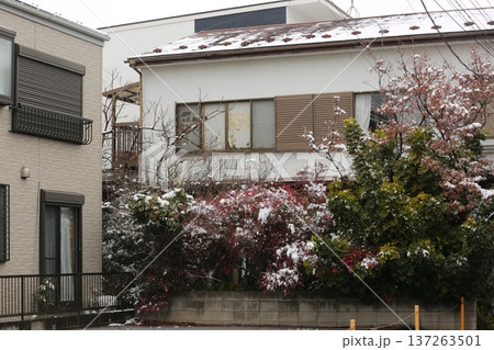 初雪 初雪 137263501