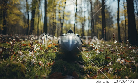 A ballistic missile resting on green grass surrounded by blooming spring flowers in a quiet city park. Conceptually, it explores geopolitical conflict, the environmental impact of war. 137264478
