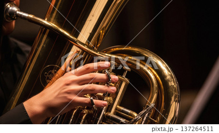 Musician Playing Tuba Instrument Closeup. Musician Playing Tuba Instrument Closeup. 137264511