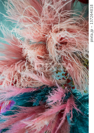 Colorful decorative feathers at a decor store. Colorful decorative feathers at a decor store. 137264818