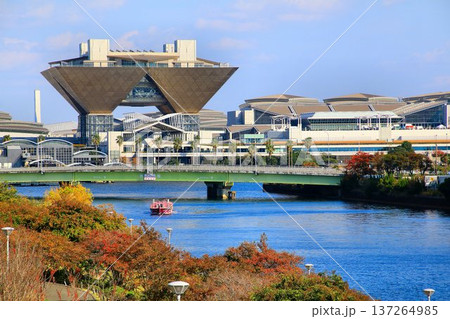 都市風景の秋… 紅葉の臨海副都心 都市風景の秋… 紅葉の臨海副都心 137264985