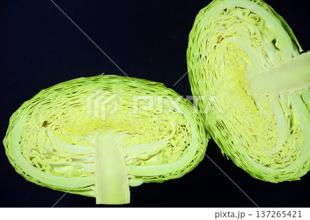 キャベツ 137265421