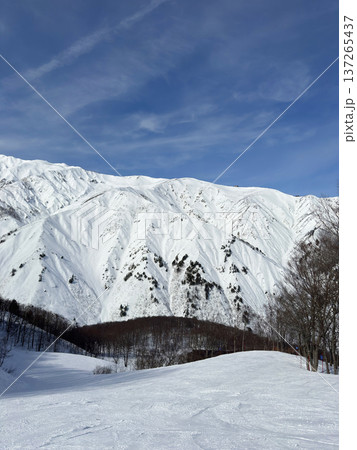 白馬八方尾根　バックカントリースキーヤーが登る雪山と青空 137265437