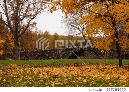 Serene Countryside With Vibrant Foliage. Tranquil Scene Featuring Golden Leaves And Distant Bridge 137265470