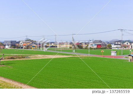 茨城県つくばみらい市伊丹水門周辺2026年3月 茨城県つくばみらい市伊丹水門周辺2026年3月 137265559