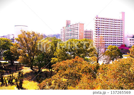 野球場を取り巻く公園 137265569