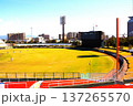 外野芝生の美しい野球場 137265570