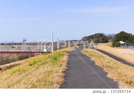 茨城県取手市利根川サイクリングロード周辺2026年3月 137265714