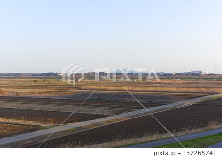 千葉県我孫子市大利根橋周辺2026年3月 137265741