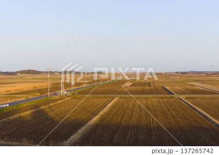 千葉県我孫子市大利根橋周辺2026年3月 137265742