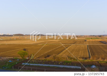 千葉県我孫子市大利根橋周辺2026年3月 千葉県我孫子市大利根橋周辺2026年3月 137265743