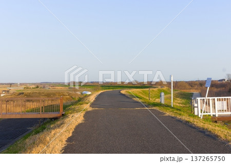 千葉県我孫子市大利根橋周辺2026年3月 137265750