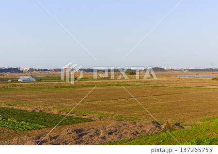 千葉県我孫子市大利根橋周辺2026年3月 137265755