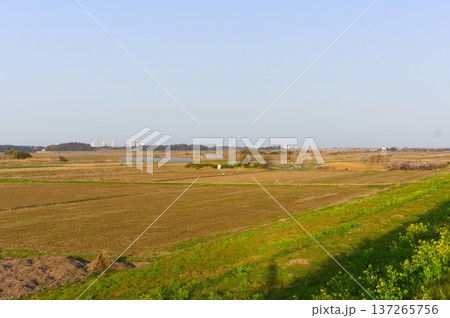 千葉県我孫子市大利根橋周辺2026年3月 137265756