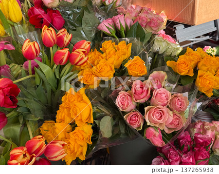 Colorful bouquets of tulips and roses displayed in flower shop market stall. Celebration, romance, spring festival atmosphere and floral decoration concept. Colorful bouquets of tulips and roses displayed in flower shop market stall. Celebration, romance, spring festival atmosphere and floral decoration concept. 137265938