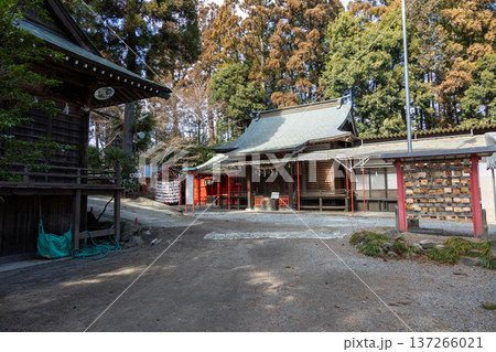 渋川八幡宮 群馬県渋川市 渋川八幡宮 群馬県渋川市 137266021