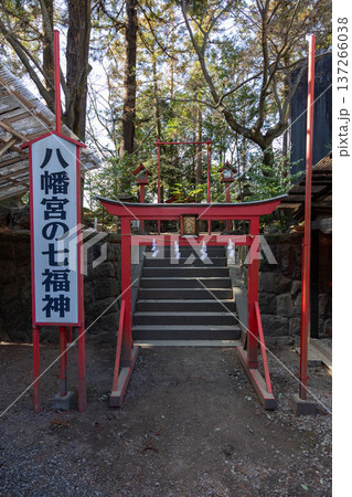 渋川八幡宮の境内 群馬県渋川市 渋川八幡宮の境内 群馬県渋川市 137266038