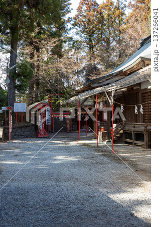 渋川八幡宮の境内　群馬県渋川市 137266041