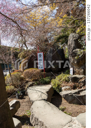 渋川八幡宮の境内 群馬県渋川市 渋川八幡宮の境内 群馬県渋川市 137266042