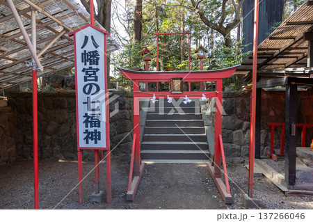 渋川八幡宮の境内 群馬県渋川市 渋川八幡宮の境内 群馬県渋川市 137266046