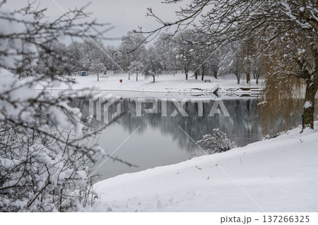Snow-covered trees reflected in the calm waters of Emmeringer Lake during winter, Emmering near Munich, Bavaria, Germany 137266325
