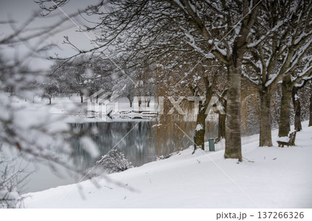 Snow-covered trees reflected in the calm waters of Emmeringer Lake during winter, Emmering near Munich, Bavaria, Germany 137266326