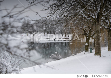 Snow-covered trees reflected in the calm waters of Emmeringer Lake during winter, Emmering near Munich, Bavaria, Germany 137266330