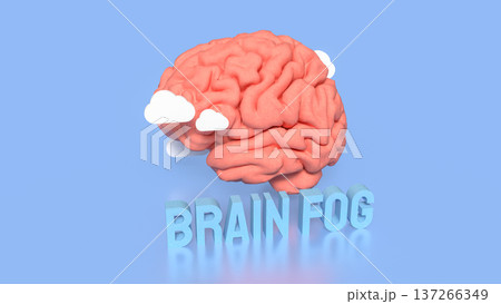 Brain Fog Concept with 3D Brain and Clouds.のイラスト素材 [137266349] - PIXTA