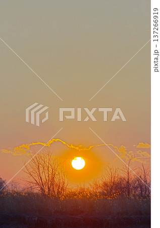 関東平野より望む彼方に沈む太陽とあかね色の空 関東平野より望む彼方に沈む太陽とあかね色の空 137266919