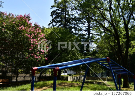 さるすべりの公園 137267066