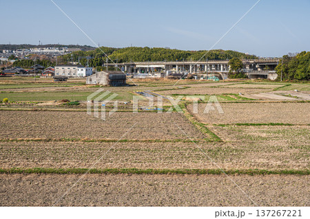 春の田園風景　京都府京田辺市 137267221
