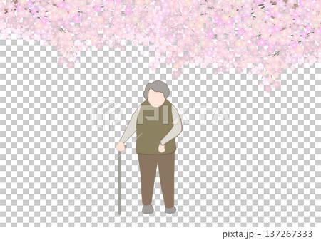 満開の桜の下を左麻痺の老人が立っているカラーイラスト 137267333
