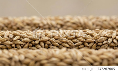 Side-Angle Close-Up of Dried Barley Layers with Uniform Texture Side-Angle Close-Up of Dried Barley Layers with Uniform Texture 137267605