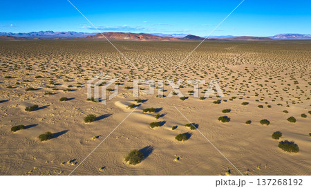 Aerial Expansive Sand Dune Landscape with Desert Vegetation and Distant Mountains Aerial Expansive Sand Dune Landscape with Desert Vegetation and Distant Mountains 137268192