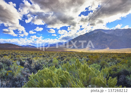 Mt Tom and Dramatic Clouds Over Sagebrush Valley Eastern Sierra California Mt Tom and Dramatic Clouds Over Sagebrush Valley Eastern Sierra California 137268212