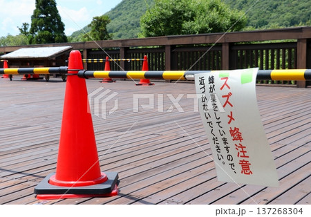 山間部の観光施設、スズメバチの影響で閉鎖された屋上展望デッキと注意書き 山間部の観光施設、スズメバチの影響で閉鎖された屋上展望デッキと注意書き 137268304