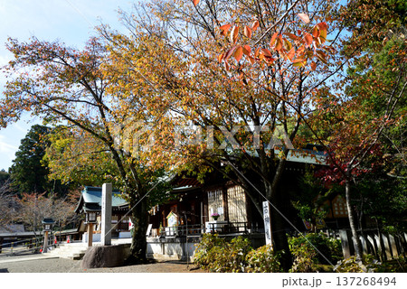 偕楽園もみじ谷の紅葉　2025-11-8　＃9 137268494