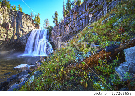 Rainbow Falls Waterfall Basalt Cliffs and Wildflowers in Devils Postpile California 137268655