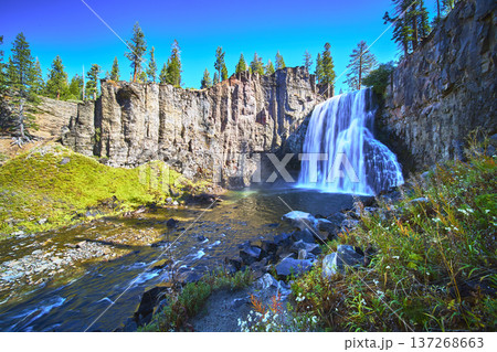 Rainbow Falls Waterfall and Basalt Cliffs in Lush Forest Landscape 137268663
