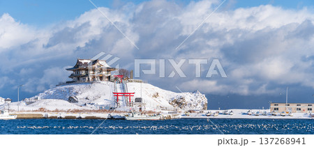 「青森県」雪景色のうみねこ繁殖地・蕪島　八戸市　パノラマ 137268941