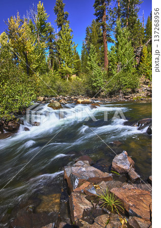 Mountain River Rushing Over Rocks With Lush Forest Under Blue Sky Mountain River Rushing Over Rocks With Lush Forest Under Blue Sky 137268956