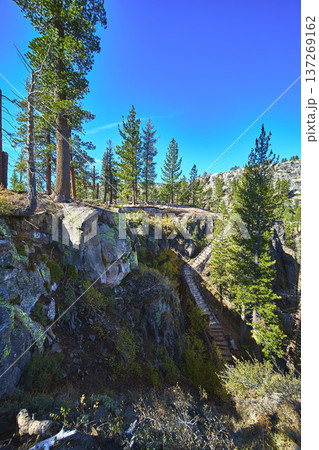 Trail Stairs and Pine Trees on Rocky Cliff in Devils Postpile Mammoth California Trail Stairs and Pine Trees on Rocky Cliff in Devils Postpile Mammoth California 137269162