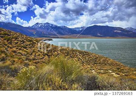 Mountain Lake and Desert Vegetation Under Dramatic Cloudy Sky 137269163
