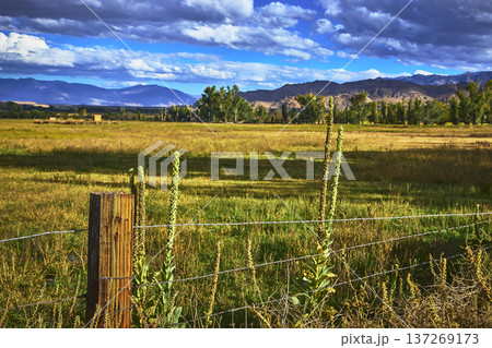 Pasture Fence and Wild Plants with Dramatic Mountain View in Warm Afternoon Light Pasture Fence and Wild Plants with Dramatic Mountain View in Warm Afternoon Light 137269173