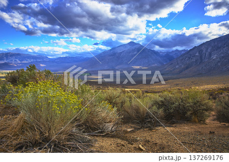 Sierra Nevada Mountain Valley and Wild Sagebrush Under Dramatic Sky Sierra Nevada Mountain Valley and Wild Sagebrush Under Dramatic Sky 137269176