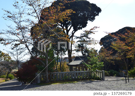 偕楽園もみじ谷の紅葉　2025-11-8　＃12 137269179