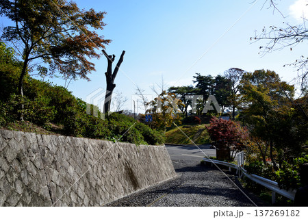 偕楽園もみじ谷の紅葉 2025-11-8 #15 偕楽園もみじ谷の紅葉 2025-11-8 #15 137269182